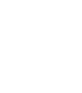 Zarina_Logo_and_font_white_transparent_bkgr_2